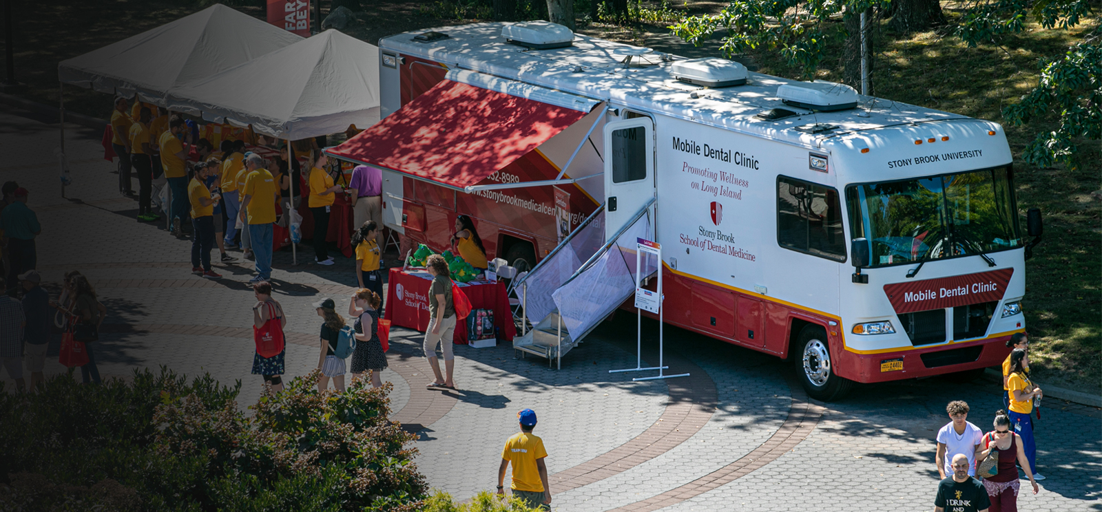 to the School of Dental Medicine Stony Brook University