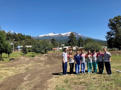 School of Dental Medicine in Neltume, Chile