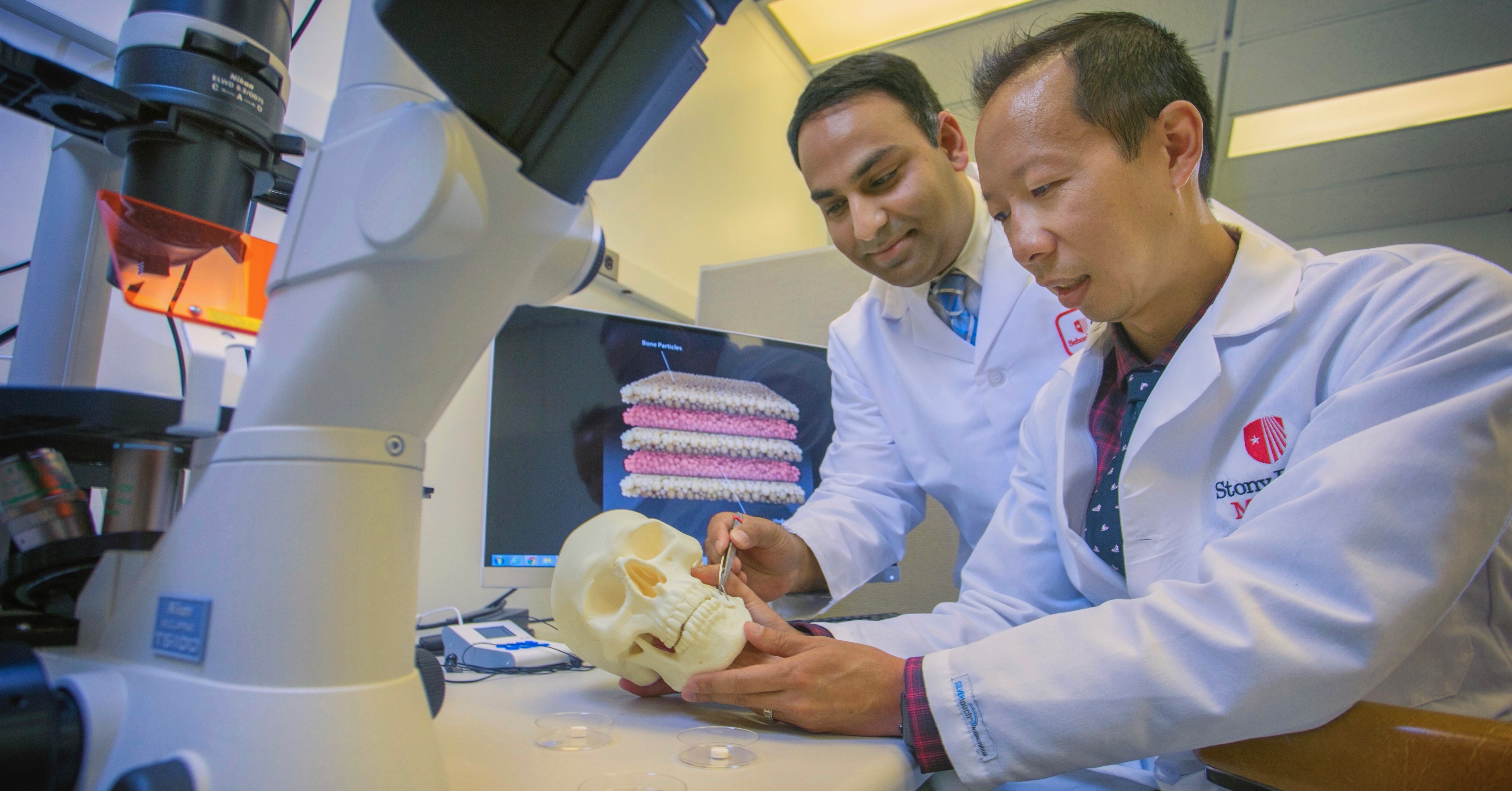 Dr. Srinivas Myneni (left) and Dr. David Lam of Stony Brook School of Dental Medicine illustrate the potential use and placement of a nanomaterial-based bone regeneration device.